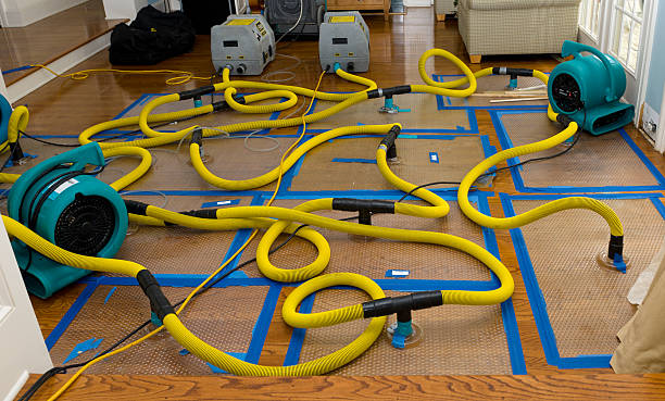 Professional Water Damage Restoration technician working in Parkman, OH